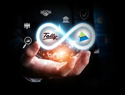 tally-pic-ipltechologies-koodalnagar
