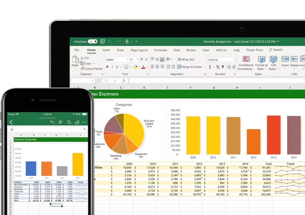 Excel spreadsheet showing student fees and payment records